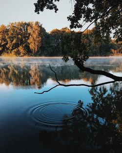 Reflection of trees in lake against sky