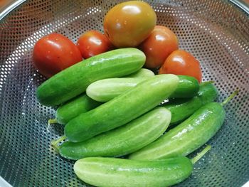 High angle view of tomatoes in container