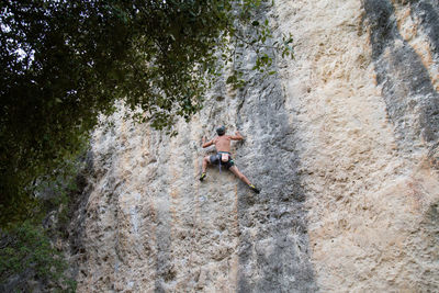 Rear view of man climbing rock