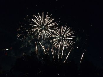 Low angle view of firework display at night