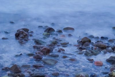 Close-up of rocks on beach