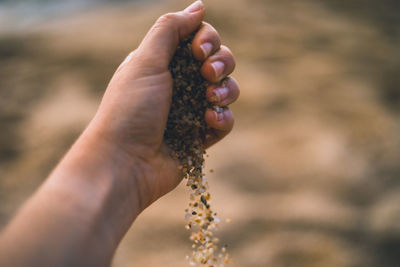 Cropped hand spilling sand at beach