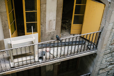 Bird perching on railing of abandoned building