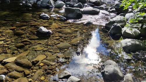 Rocks with water