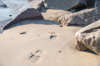 High angle view of rocks on beach