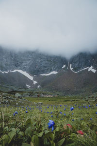 Scenic view of mountains against sky during winter