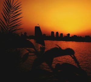 Silhouette of buildings at sunset