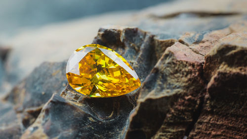 Close-up of yellow leaf on rock