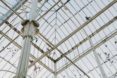 Iron structure of the roof at the greenhouse