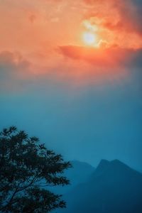 Low angle view of silhouette tree against sky