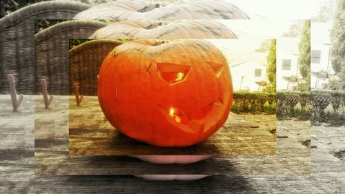 Close-up of pumpkins