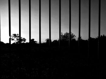 Silhouette trees on field against clear sky