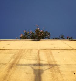 View of trees against clear blue sky