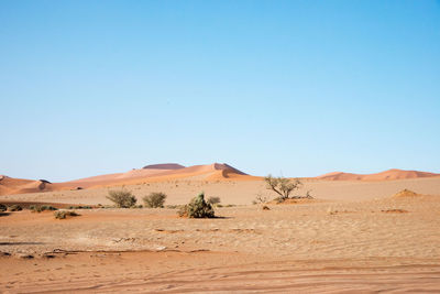 Scenic view of desert against clear blue sky. deadvlei, namib