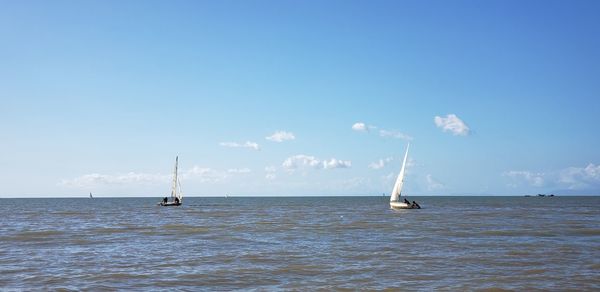 Sailboat in sea against sky