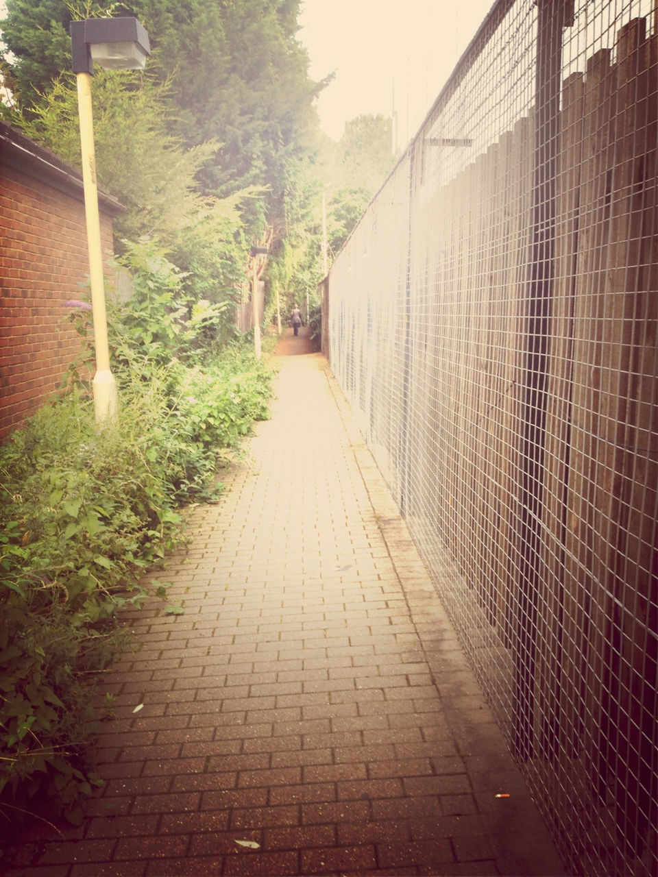 the way forward, built structure, building exterior, diminishing perspective, architecture, cobblestone, footpath, walkway, vanishing point, narrow, paving stone, plant, pathway, tree, empty, street, growth, sidewalk, day, outdoors