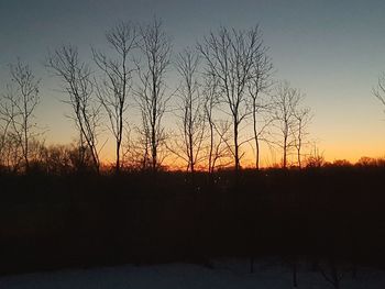 Silhouette of trees at sunset