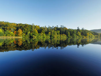 Reflection of trees in lake against clear blue sky