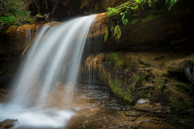 Scenic view of waterfall in forest