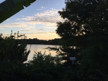 Silhouette trees by lake against sky during sunset