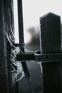 Close-up of barbed wire fence
