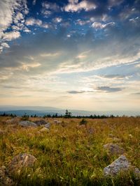 Scenic view of field against sky during sunset