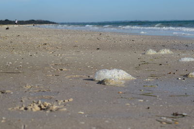 Scenic view of beach