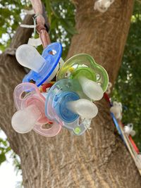 Close-up of toy on tree trunk