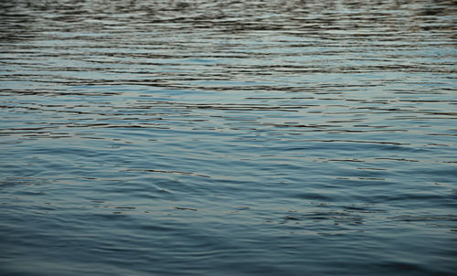 Full frame shot of rippled water