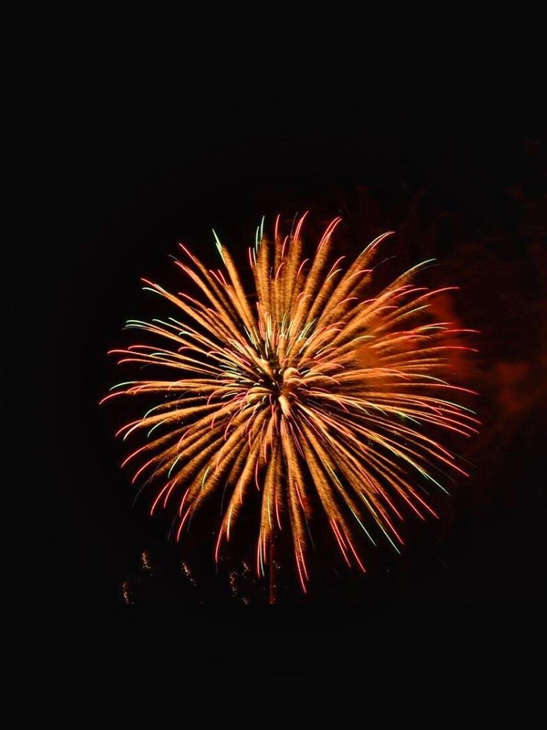 FIREWORKS DISPLAY AT NIGHT