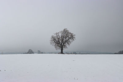 Bare tree on snow covered field against sky