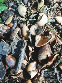 High angle view of stones on field