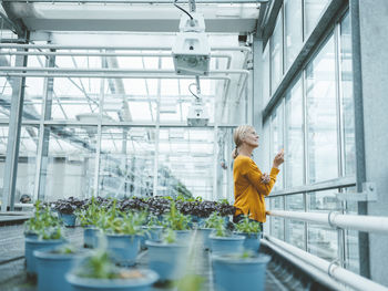 Scientist looking through window at greenhouse