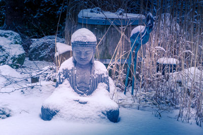 Snow covered buddha statue against plants