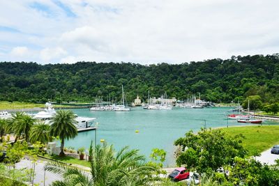 Boats moored by palm trees against sky