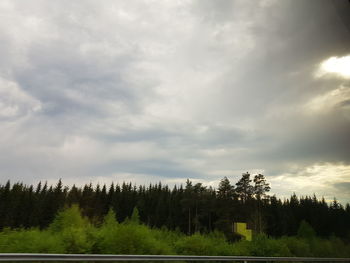 Scenic view of forest against sky