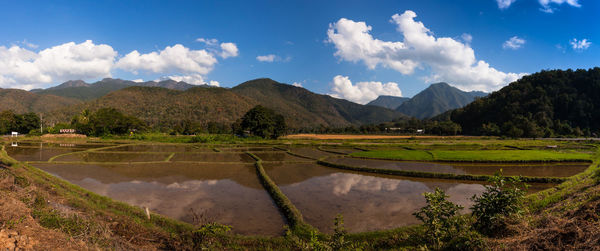 Scenic view of farm against sky