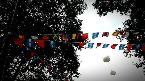 Low angle view of tree against sky