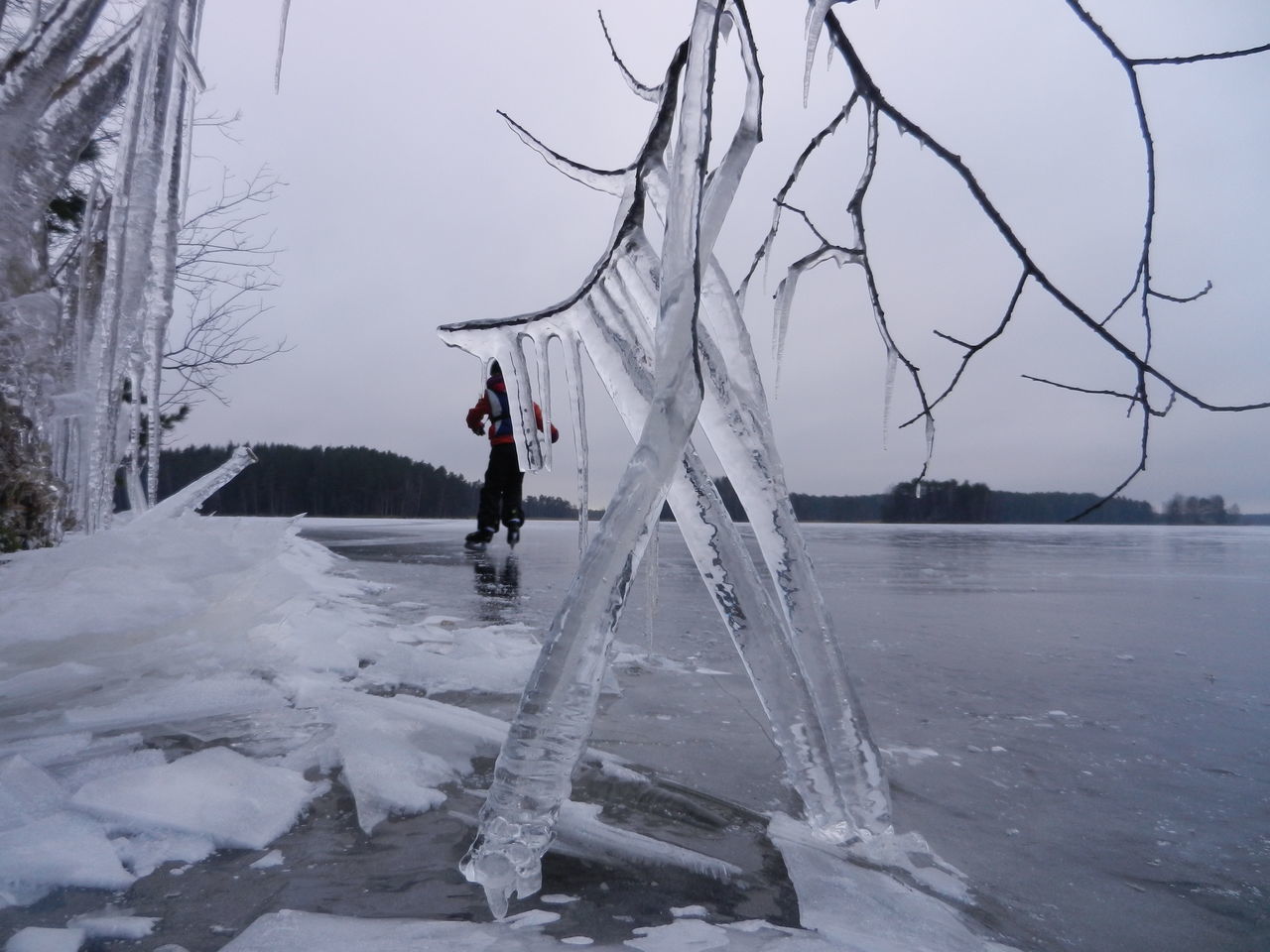 winter, cold temperature, snow, season, bare tree, weather, frozen, water, full length, nature, lifestyles, leisure activity, rear view, day, branch, outdoors, tranquility, warm clothing