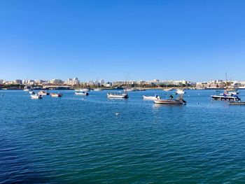 Sailboats moored in harbor against clear blue sky