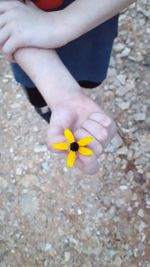 Low section of woman holding yellow flower