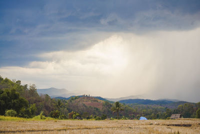 Scenic view of field against sky