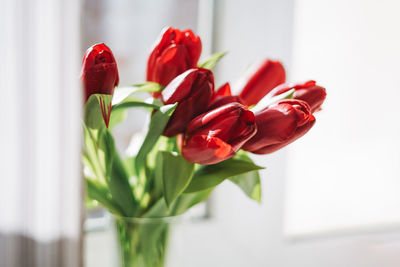 Beautiful bouquet of red tulips in vase om window sill at the home, natural background