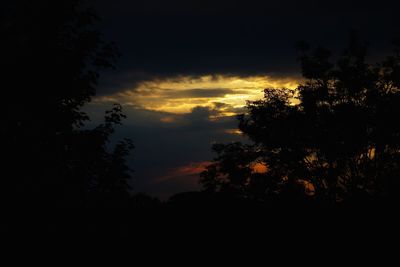 Low angle view of silhouette trees against sky at sunset