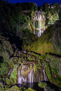 Scenic view of waterfall in forest