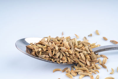 Close-up of bread on table against white background