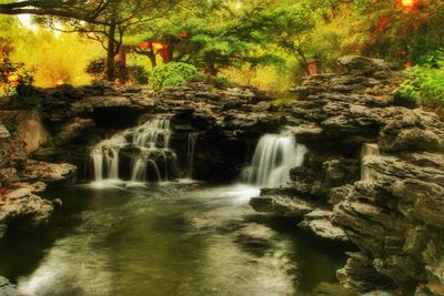 View of waterfall in forest