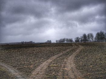 Scenic view of agricultural field against sky