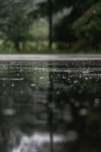Close-up of water drops on road
