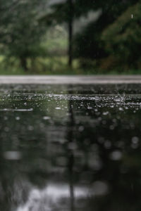 Close-up of water drops on plant